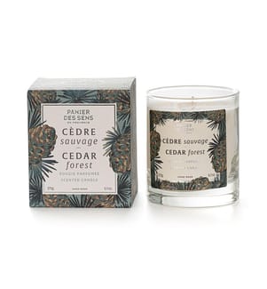 Duftkerze Wild Cedar Ambiente - 275g