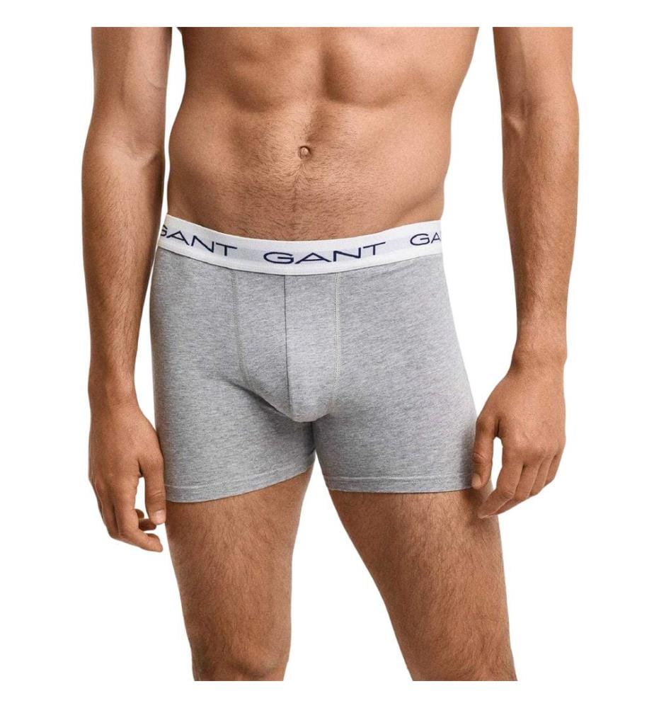Gant Mens Cotton Blend Briefs (Pack of 3)