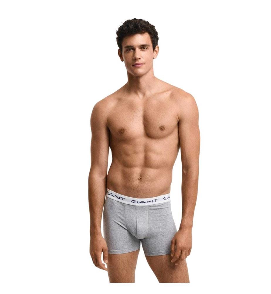 Gant Mens Cotton Blend Briefs (Pack of 3)
