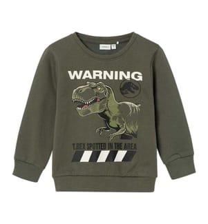 Name It Childrens/Kids Jurassic Park Sweatshirt