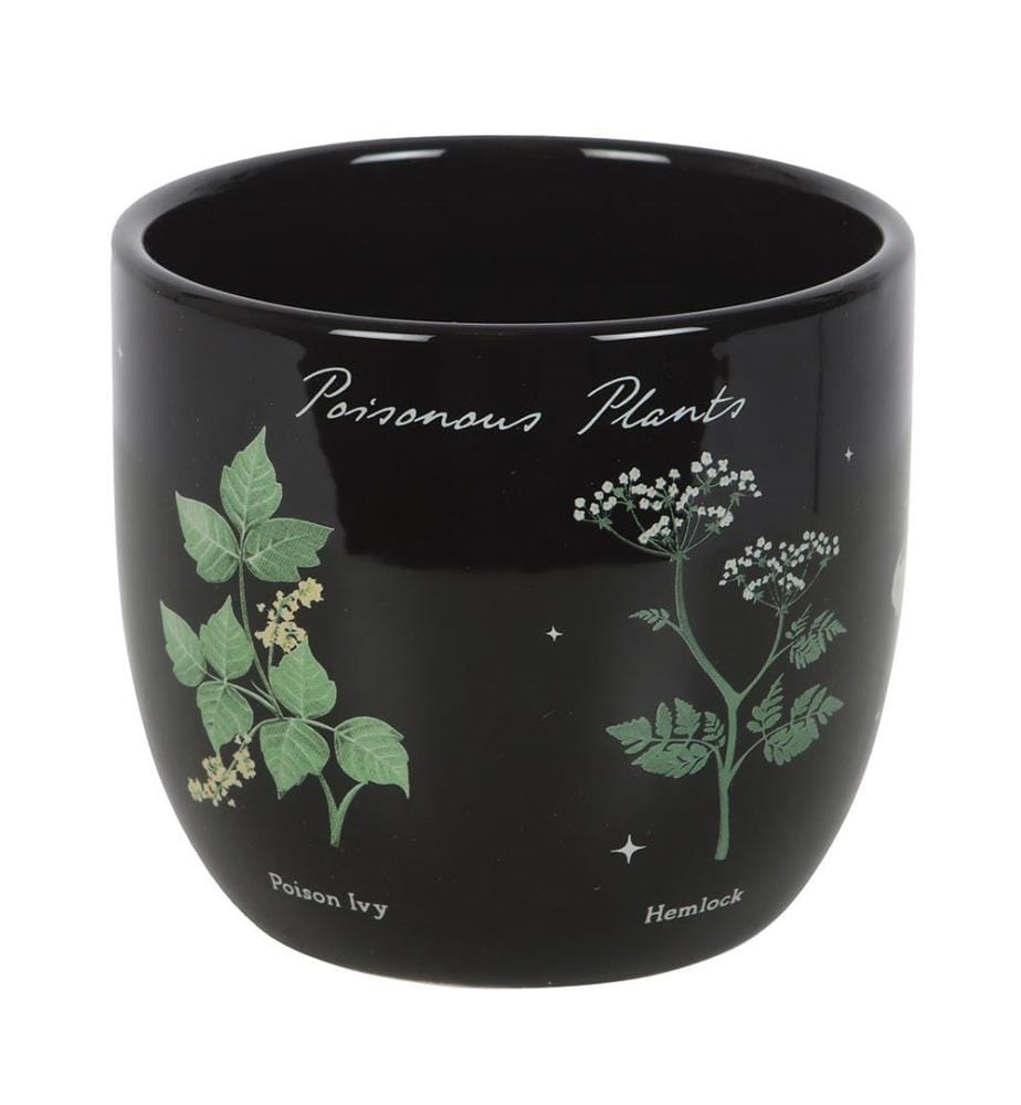 Something Different - Pot de fleurs POISONOUS PLANTS