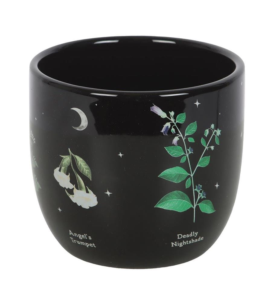 Something Different - Pot de fleurs POISONOUS PLANTS
