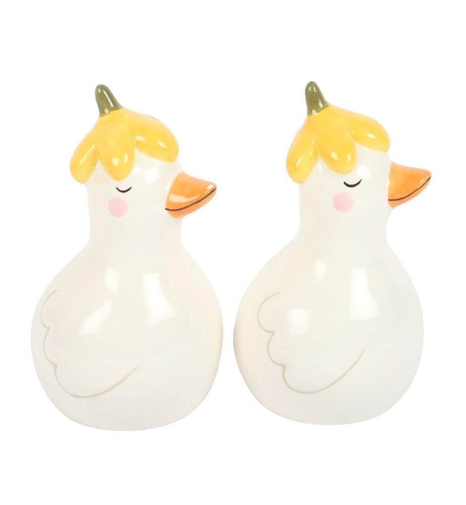 Something Different - Salière et poivrière motif/style marguerite et canard