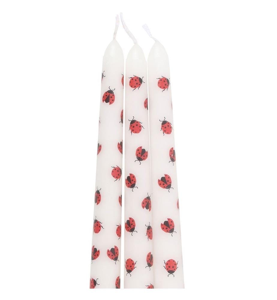Something Different - Konische Kerze "Love Bug Ladybird" 3er-Pack