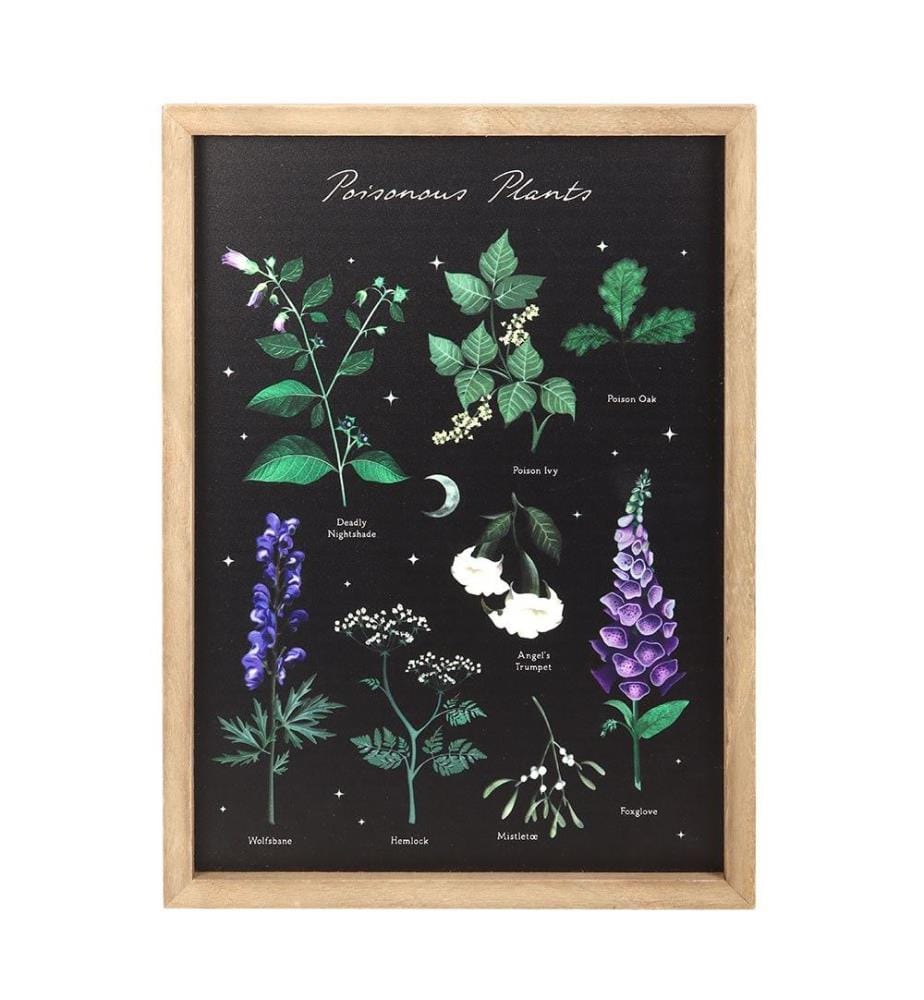 Something Different - Art mural encadré POISONOUS PLANTS