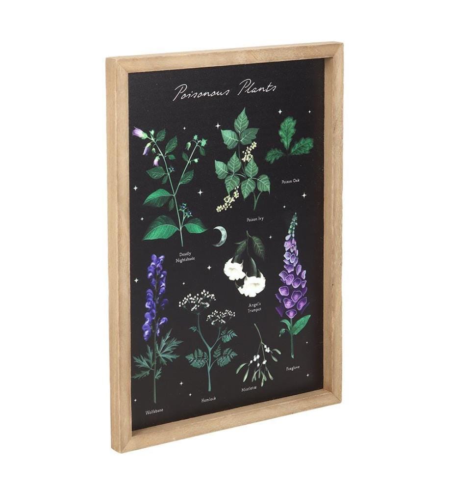 Something Different - Art mural encadré POISONOUS PLANTS