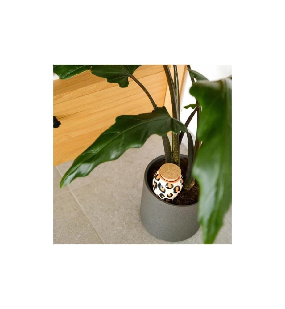 Gorilla Gardening Olla Bewässerungshilfe Keramik Kork 250 ml