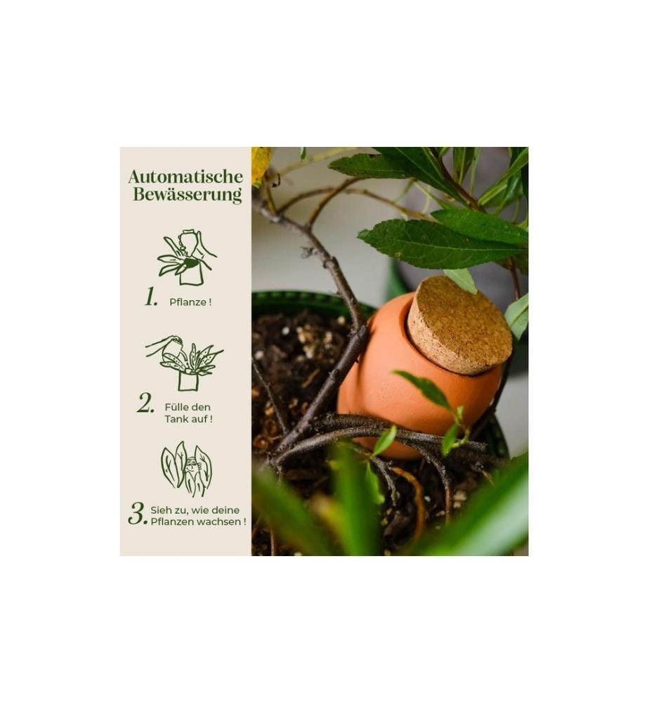 Gorilla Gardening Olla Bewässerungshilfe Keramik Kork 250 ml