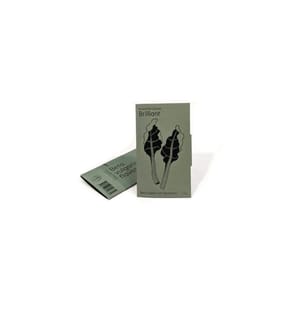 Gorilla Gardening Saatgut – Krautstiel Brilliant