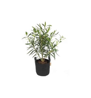 Gorilla Gardening Sac à plantes Noir