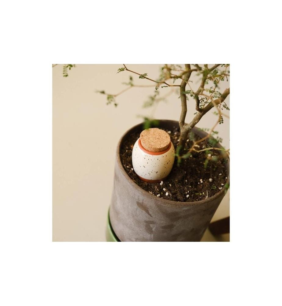 Gorilla Gardening Trio Mini Ollas