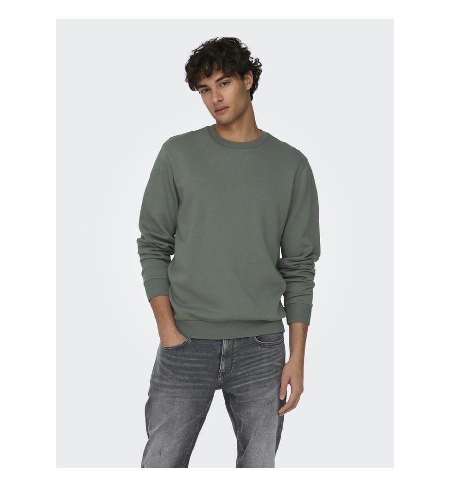 Sweatshirt - Bibergrau