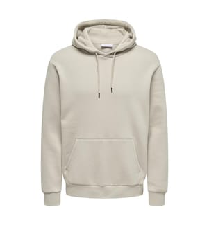 Hoodie - Das Silberne Futter