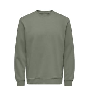 Sweatshirt - Bibergrau