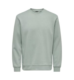 Connor Life Sweatshirt in Regular Fit – Wassergrün