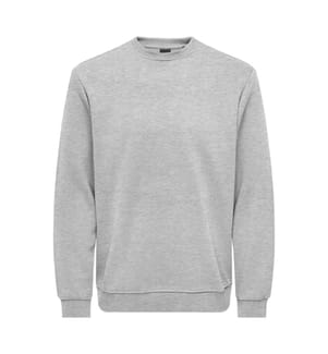 Sweatshirt „Connor Life“ in Regular Fit – Hellgrau