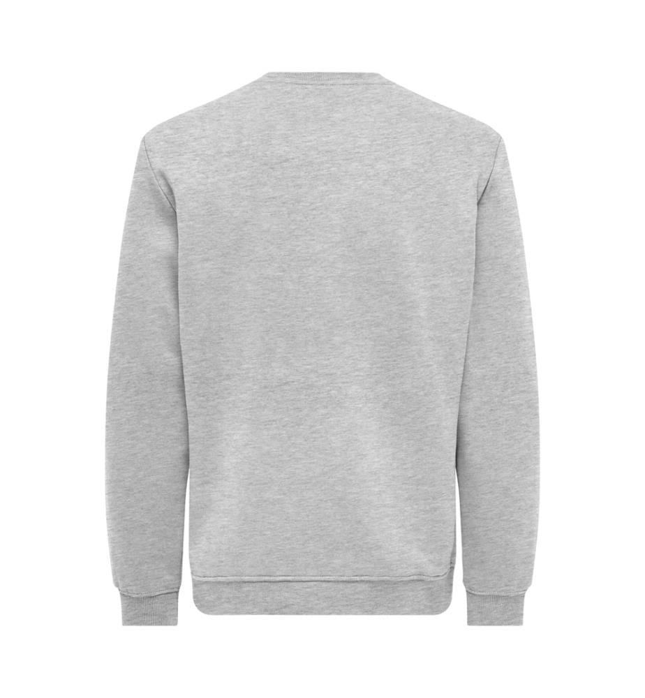Sweatshirt „Connor Life“ in Regular Fit – Hellgrau