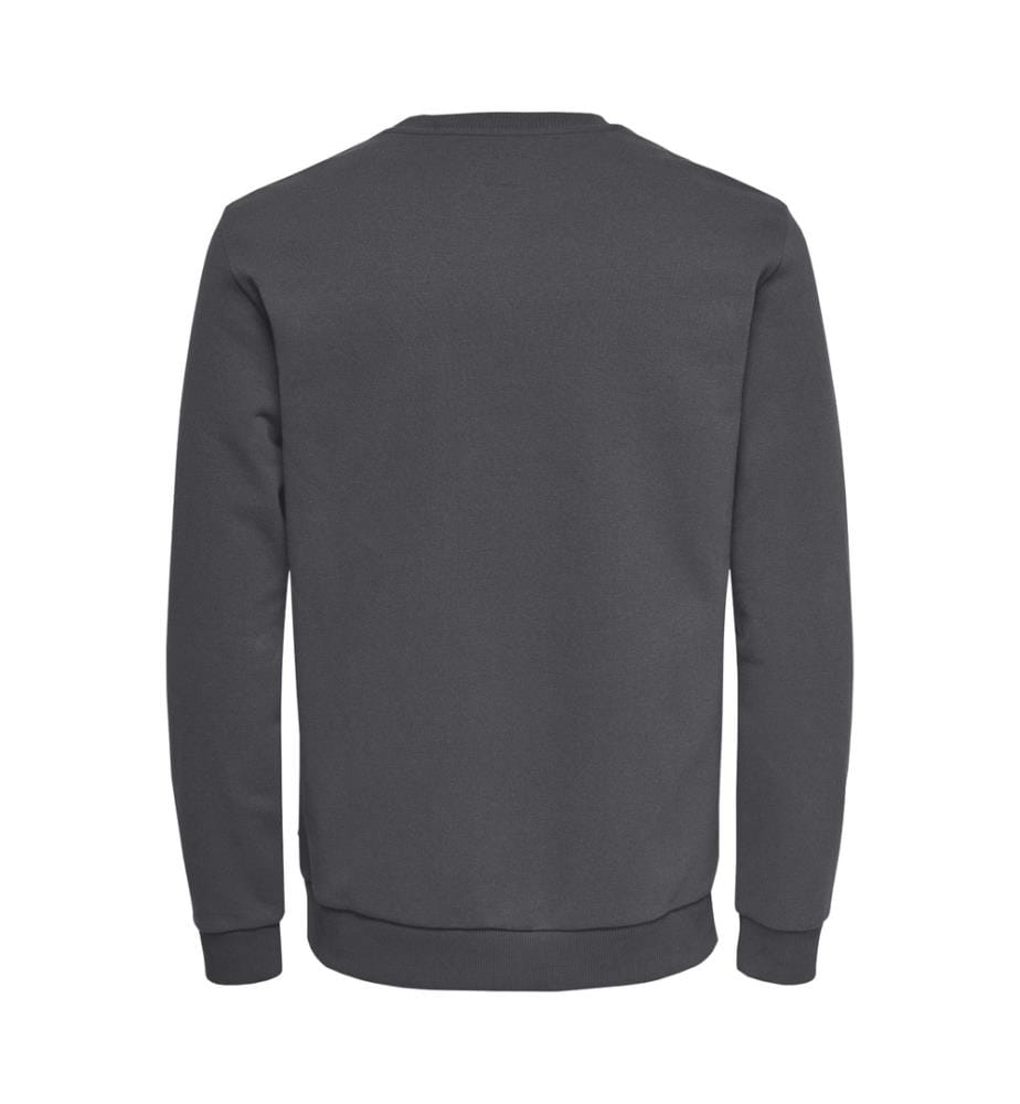 Sweat-shirt - Gris À Rayures