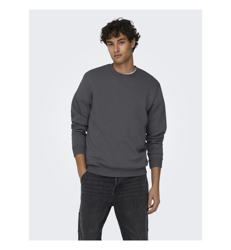 Sweat-shirt - Gris À Rayures