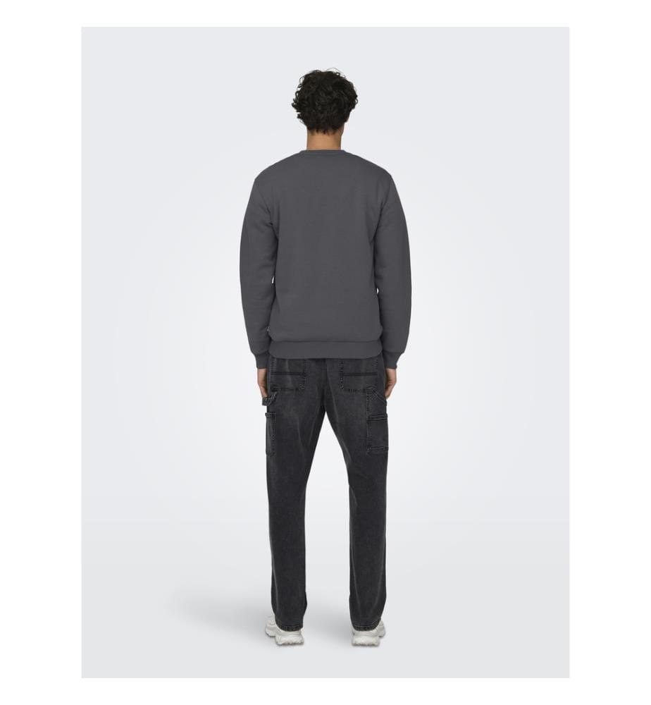 Sweat-shirt - Gris À Rayures