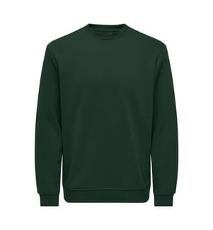 Sweatshirt „Connor Life“ in Regular Fit – Dunkelgrün