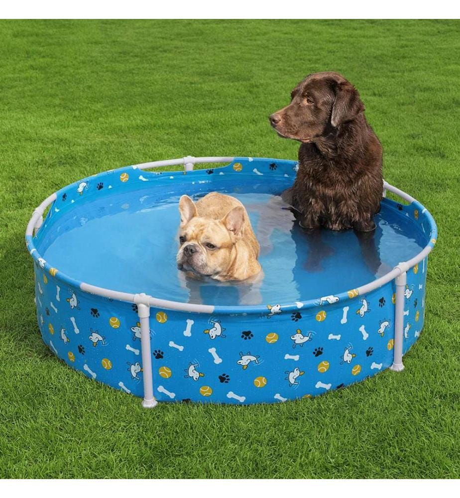 Frame Pool Pfote für Haustiere 122 x 30,5 cm - Multicolor