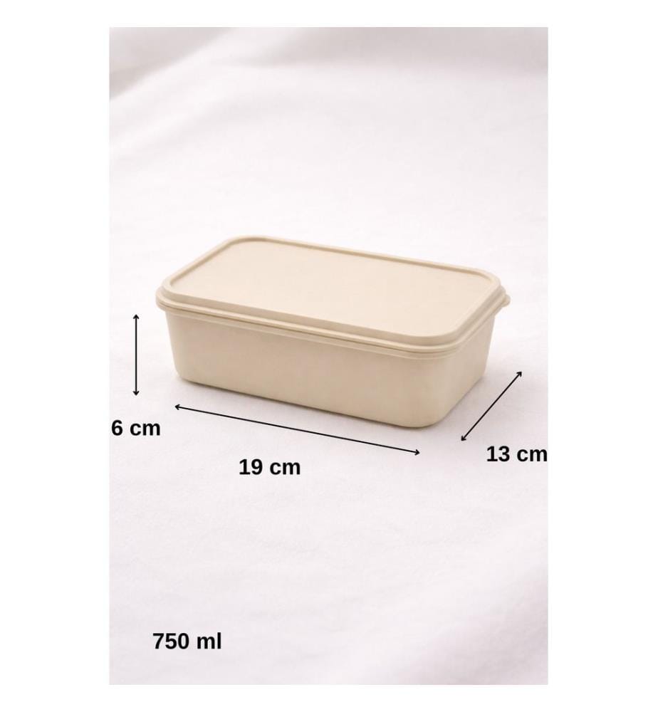 Storage Box, 100% PLASTIC, Cream