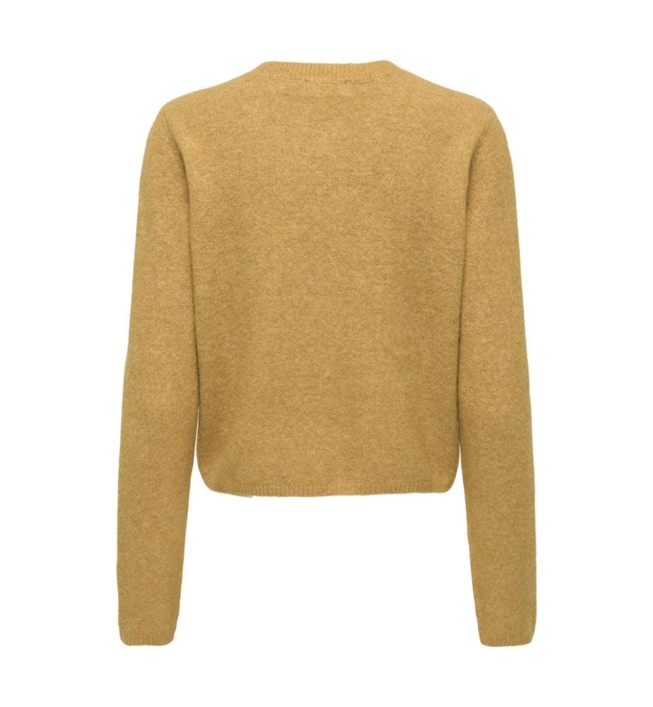 Strickjacke – Walddrossel