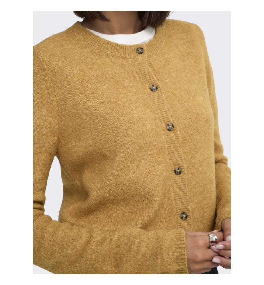Strickjacke – Walddrossel