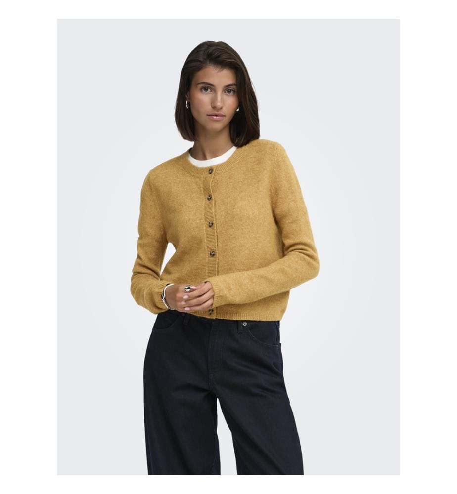 Strickjacke – Walddrossel