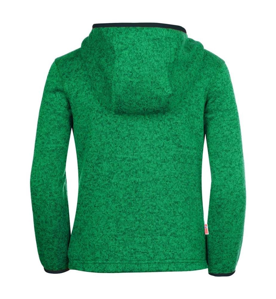 Fleece-Jacke Jondalen XT - Grün und Marinblau