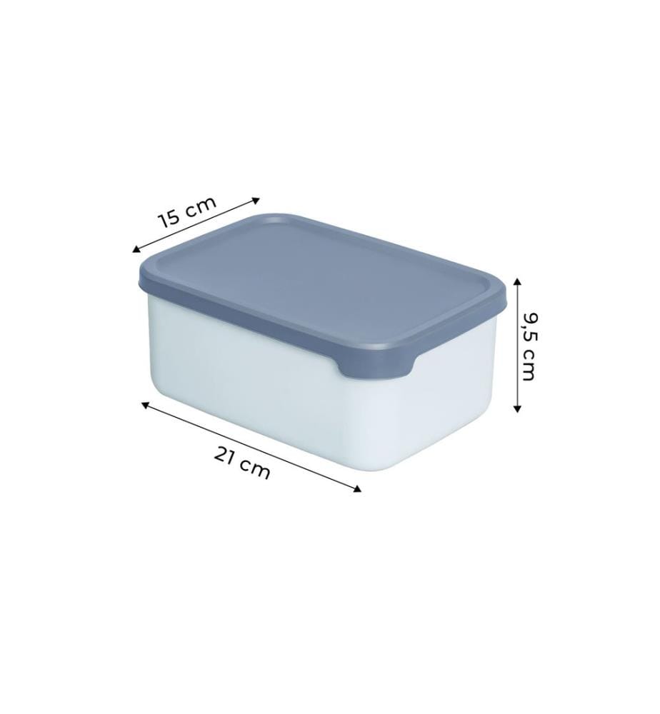 Lot de boîtes de rangement (4 pièces) - Bleu