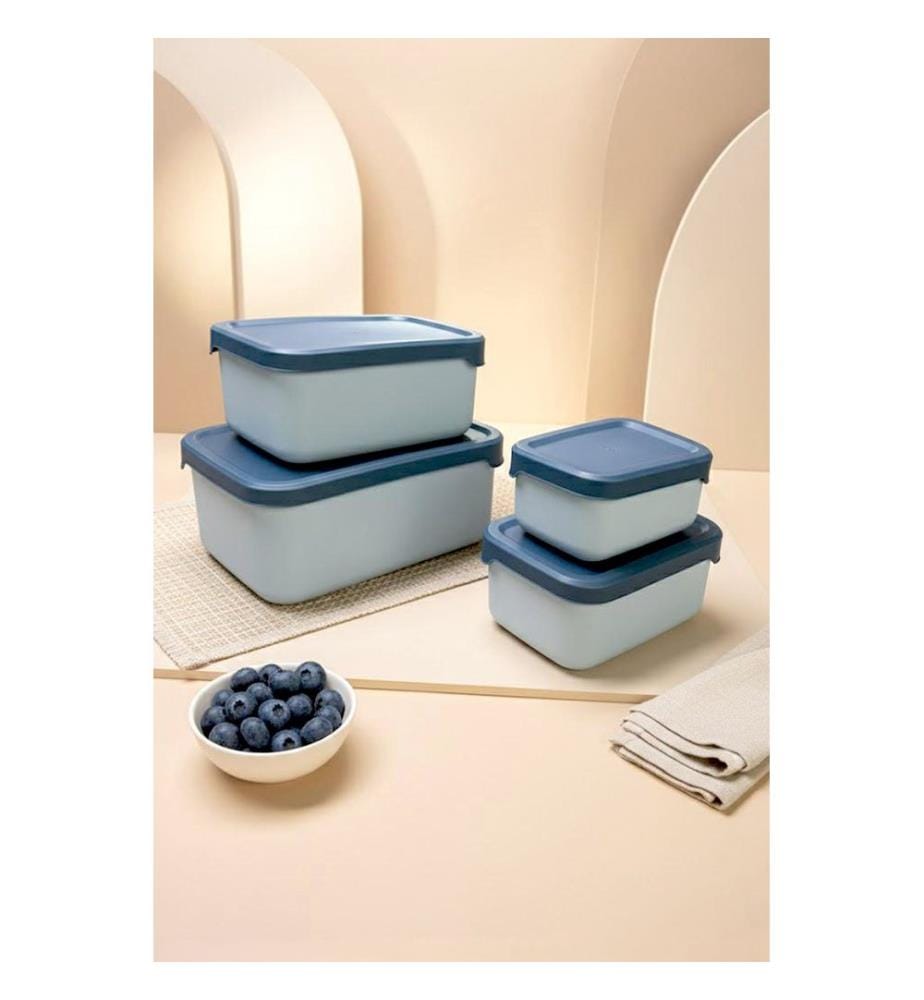 Lot de boîtes de rangement (4 pièces) - Bleu