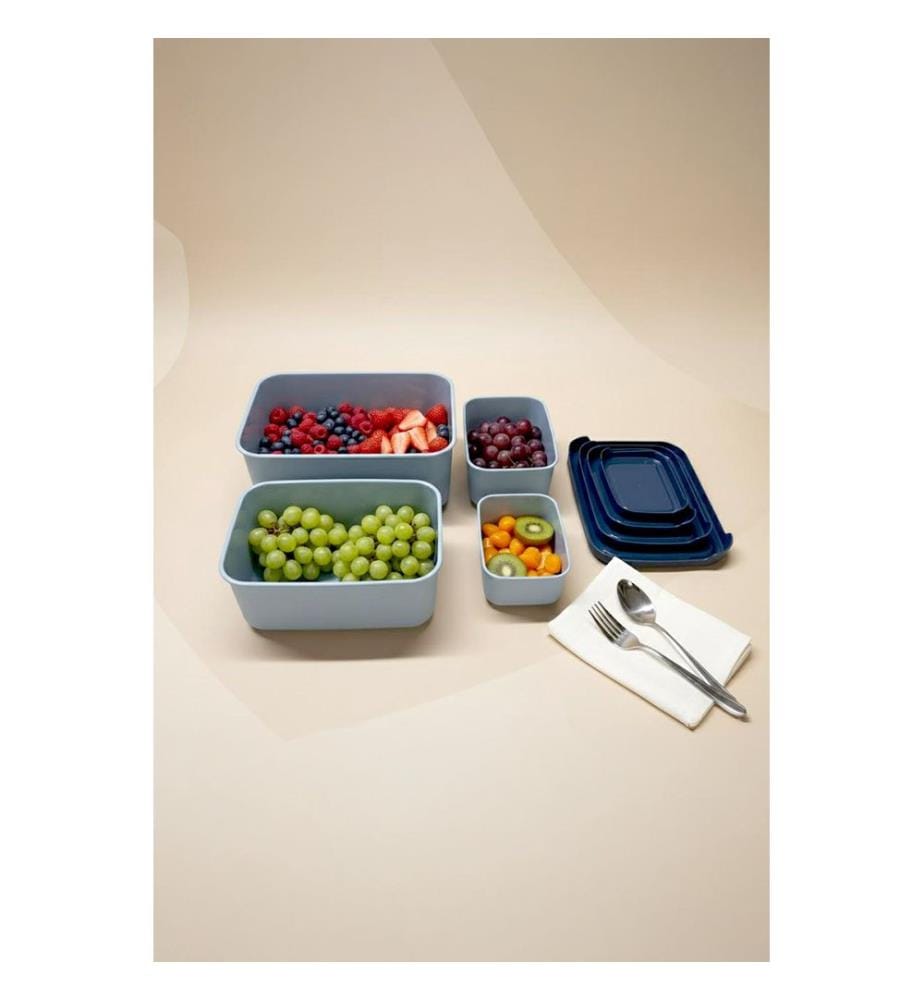 Lot de boîtes de rangement (4 pièces) - Bleu