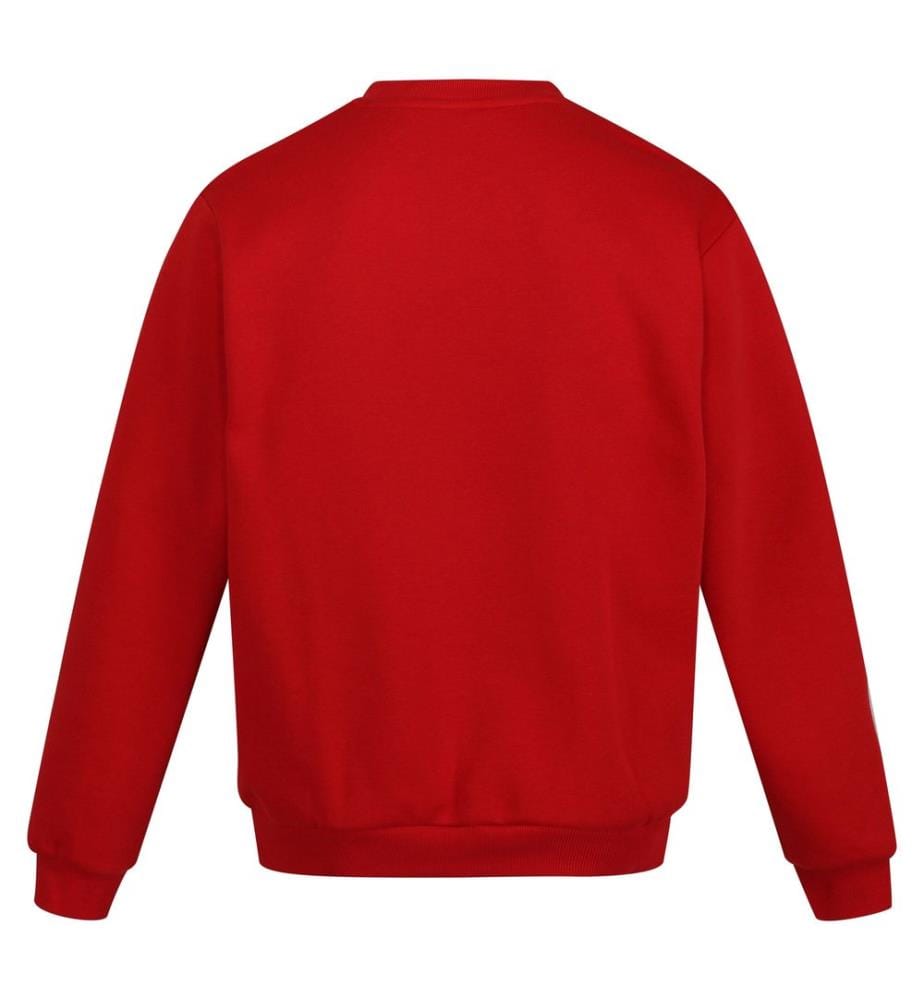 Regatta Professional - Sweatshirt Rundhalsausschnitt für Herren