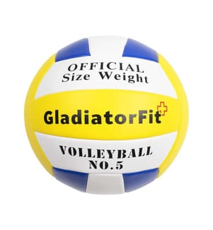 Volleyball für Training und Wettkampf T5