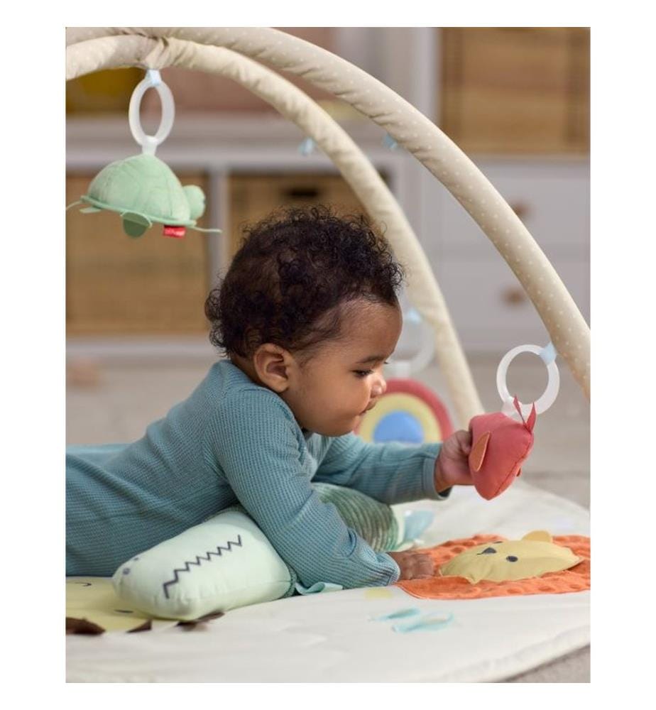 Geometric Wonders Activity Gym - Mehrfarbig