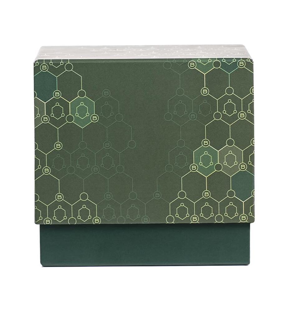 380g - Bougie Parfumée Green Tea & Mango