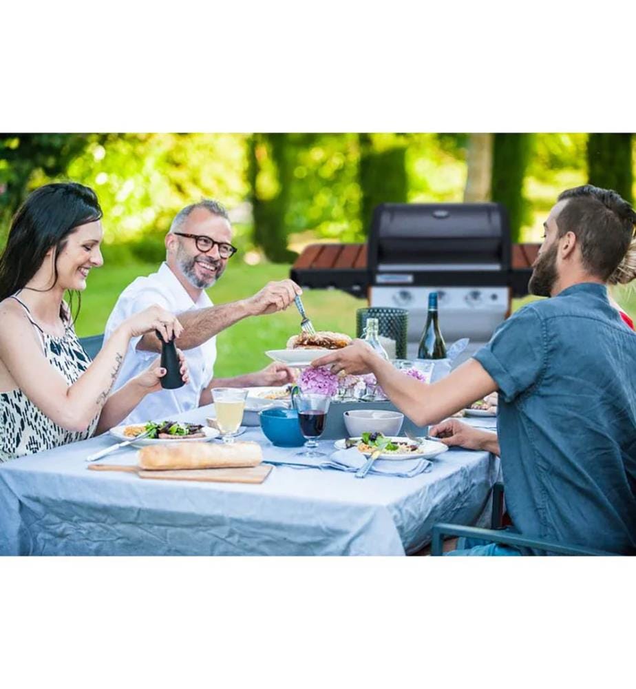 Gasgrill BBQ 3 Series Woody L – Silber und Braun","detected_source_language":"FR