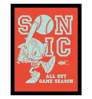 Sonic The Hedgehog All Out Game Season Framed Poster