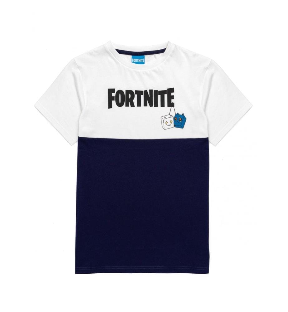 Fortnite Boys Colour Block T-Shirt