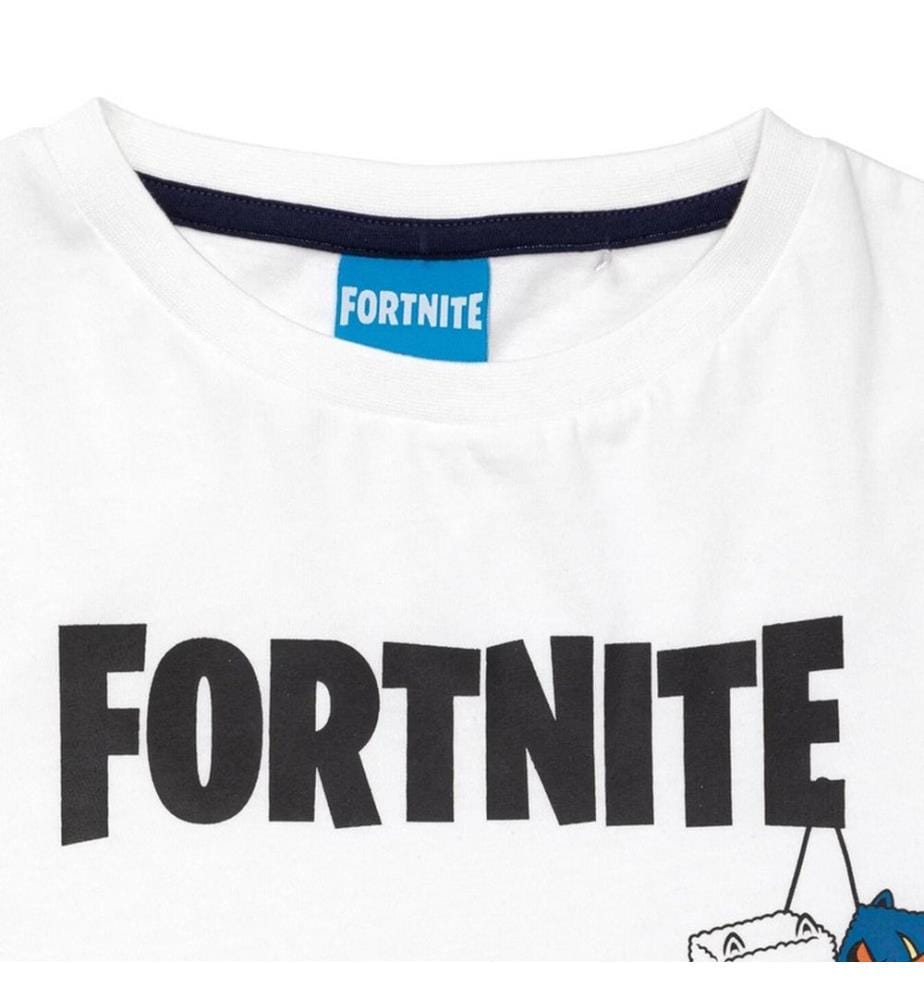 Fortnite Boys Colour Block T-Shirt