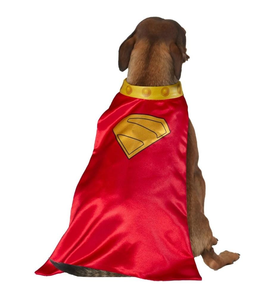 Superman - Costume pour chiens motif Krypto