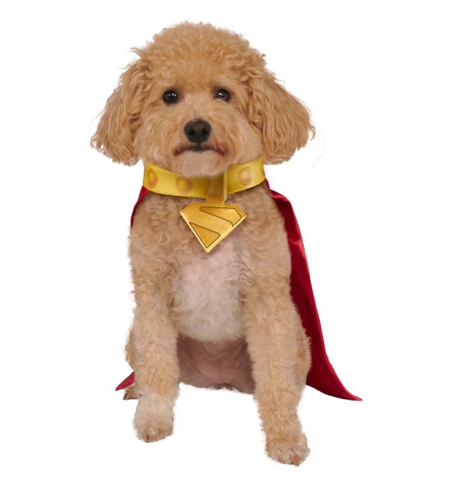 Superman - Costume pour chiens motif Krypto