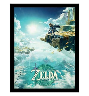 The Legend Of Zelda Tears Of The Kingdom Hyrule Skies Framed Poster
