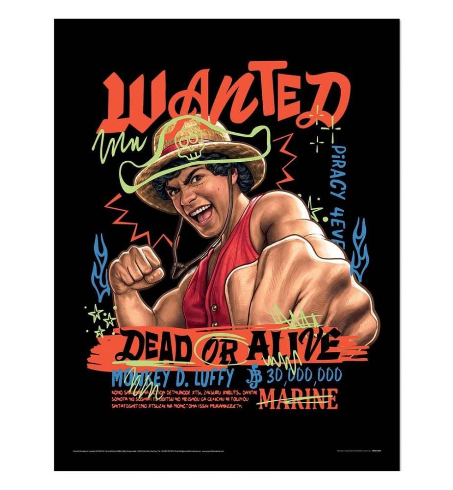 One Piece: Into the Grand Line - Poster encadré motif Monkey D. Luffy motif/style Art graphique