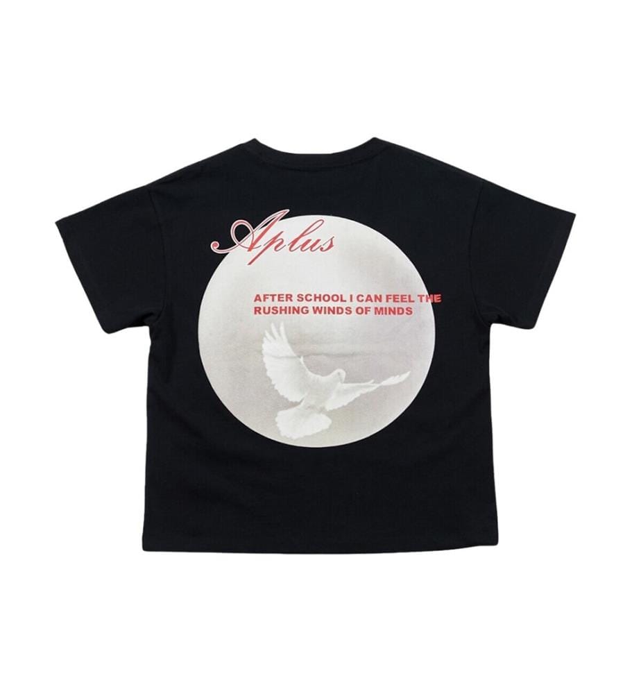 Aplus 430 Dove T-Shirt mit Aufdruck – Schwarz