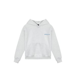 Cooler Club-Pullover mit Schriftzug-Logo und Kapuze – Ash