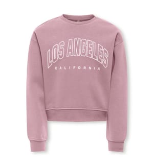 Oversize-Sweatshirt mit Rundhalsausschnitt – Foxglove