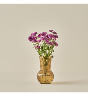 Vase Eva 11x20 cm - Ambre